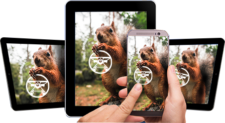 Tablet and phone devices being interacted with - displaying image of a squirrel holding the FPC logo